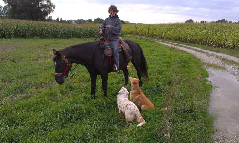 Ausritt mit dem Rudel